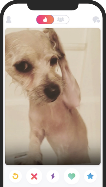 TinDog app on iphone